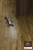 SALSA OAK NATURE BR SALSA OAK NATURE BR